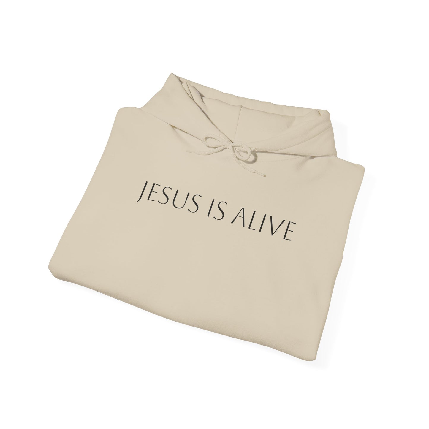 Jesus Is Alive Hoodie