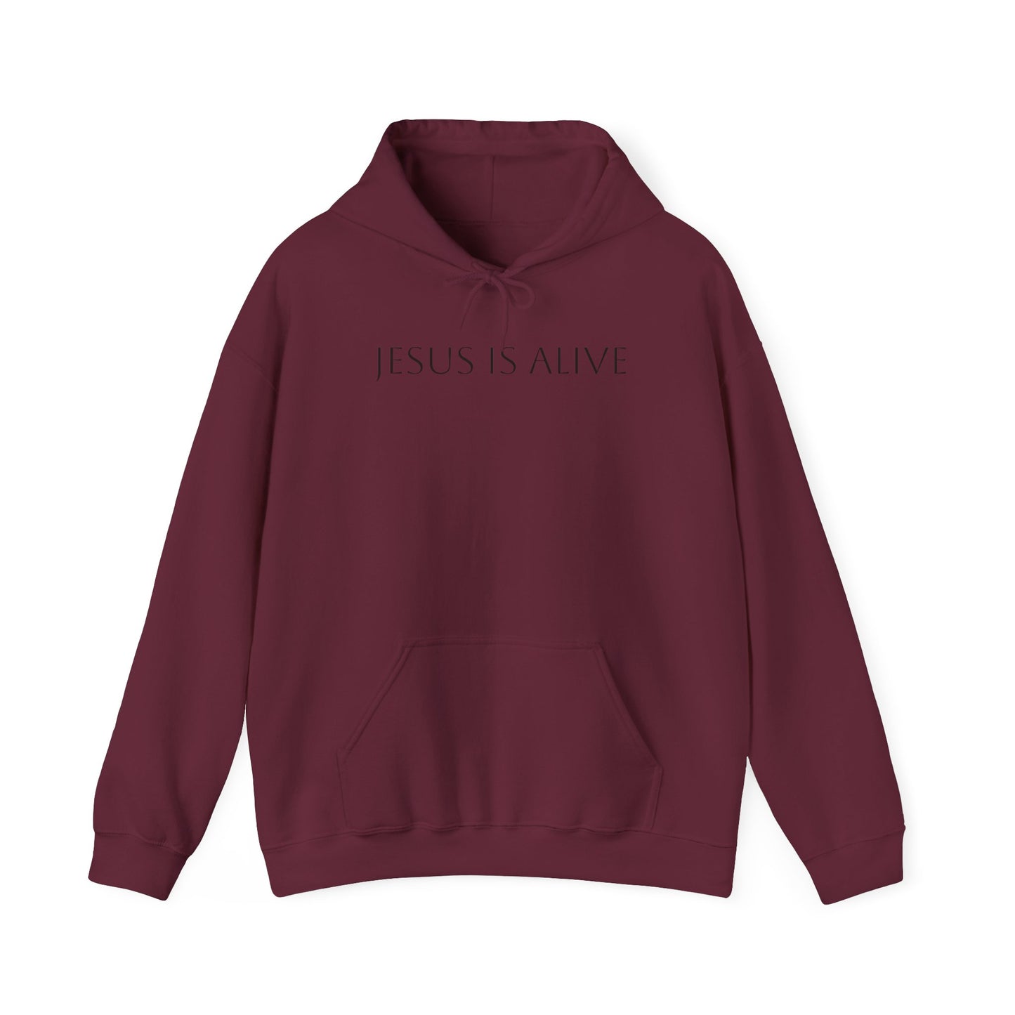 Jesus Is Alive Hoodie